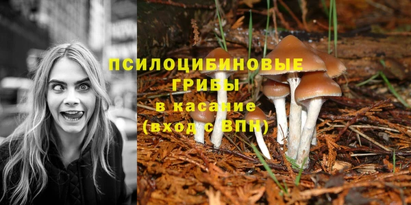 СК Алзамай
