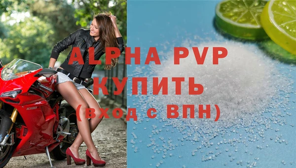 СК Алзамай