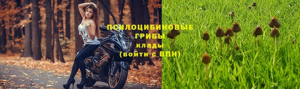 трава Абдулино