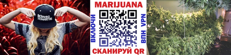 купить   Сясьстрой  Шишки марихуана Ganja 